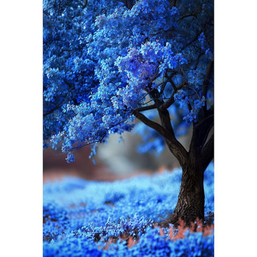Blue Tree Painting
